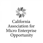 CA Micro Enterprise logo
