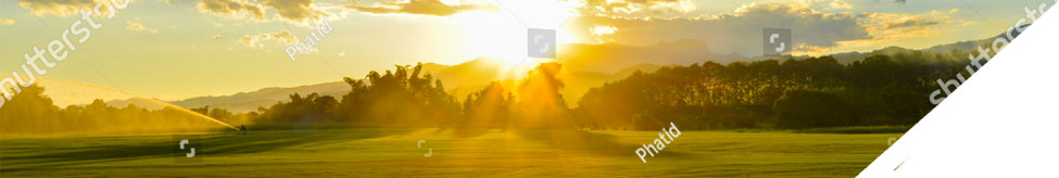 banner image of a sunset in a wide open grassy field