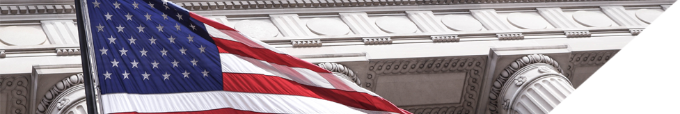 Banner image of the American flag.